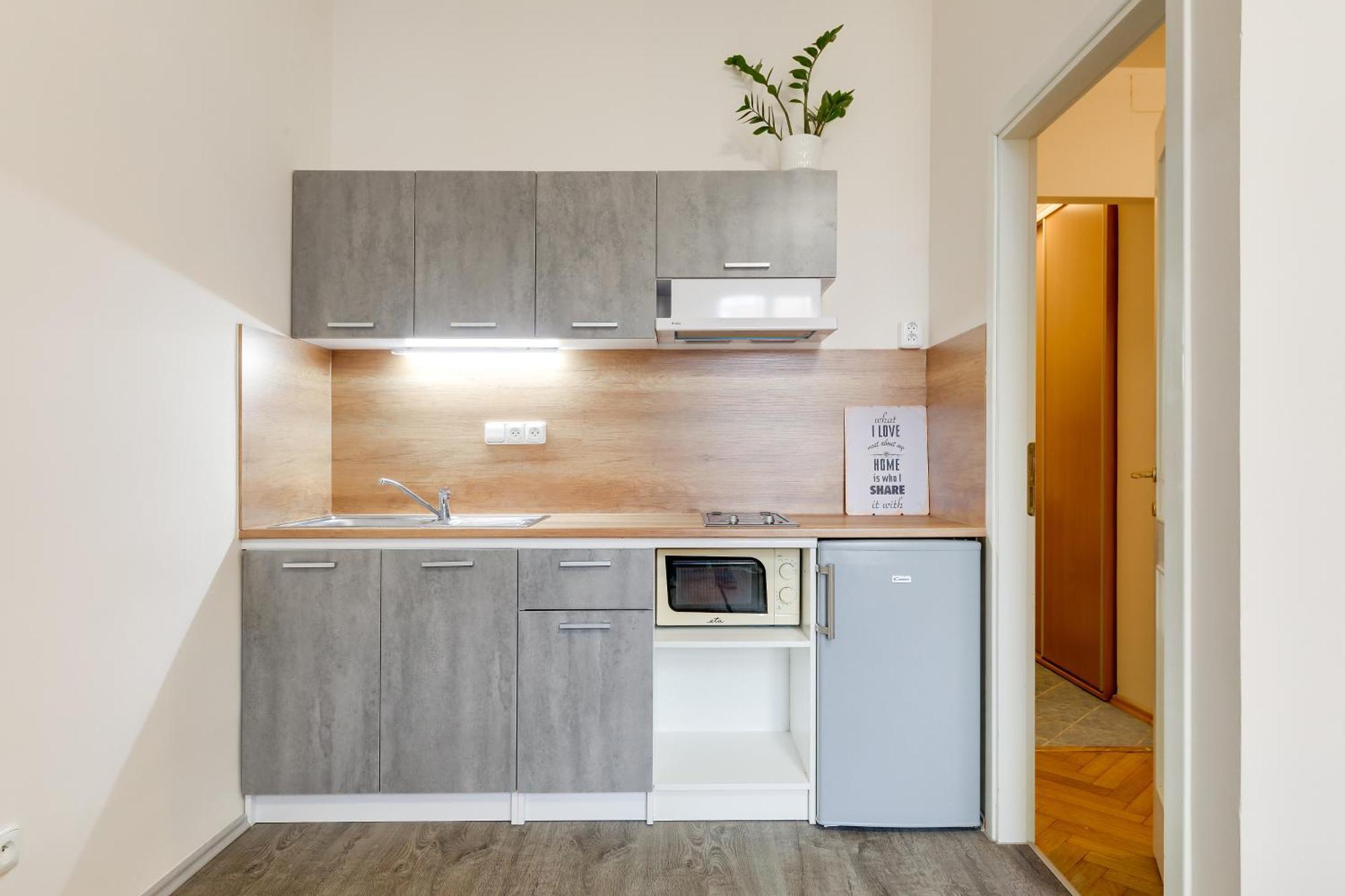 Apartment Nejedleho Prague